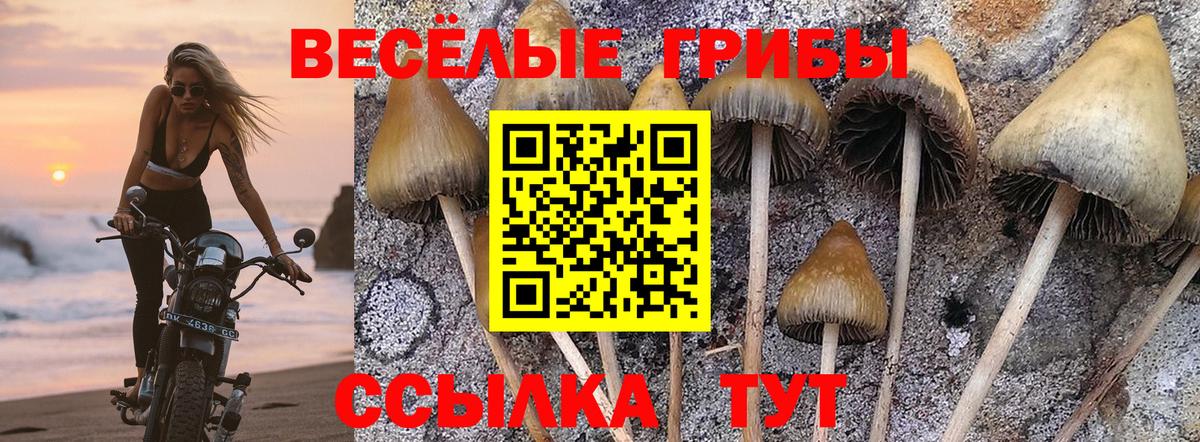 Набережные Челны  Галлюциногенные грибы Cubensis  Вход с VPN  Псилоцибиновые грибы MAGIC MUSHROOMS 