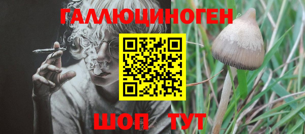 Галлюциногенные грибы мицелий Набережные Челны
